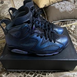 Jordan Retro 6 Chamelions